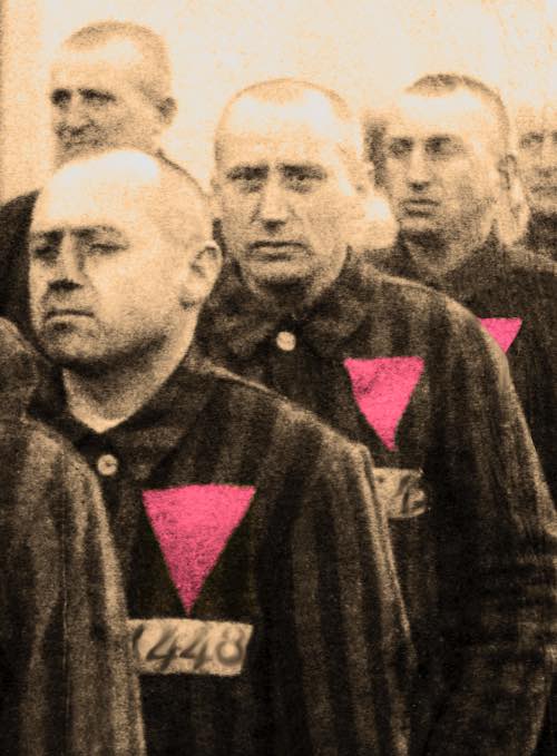 gay nazismo 