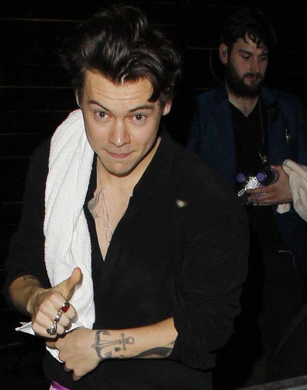 Harry Styles, do One Direction, fala sobre sua sexualidade